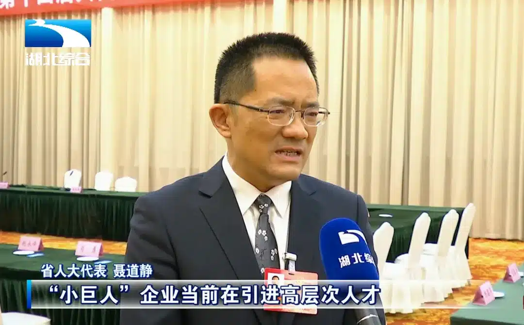 省人大代表聂道静